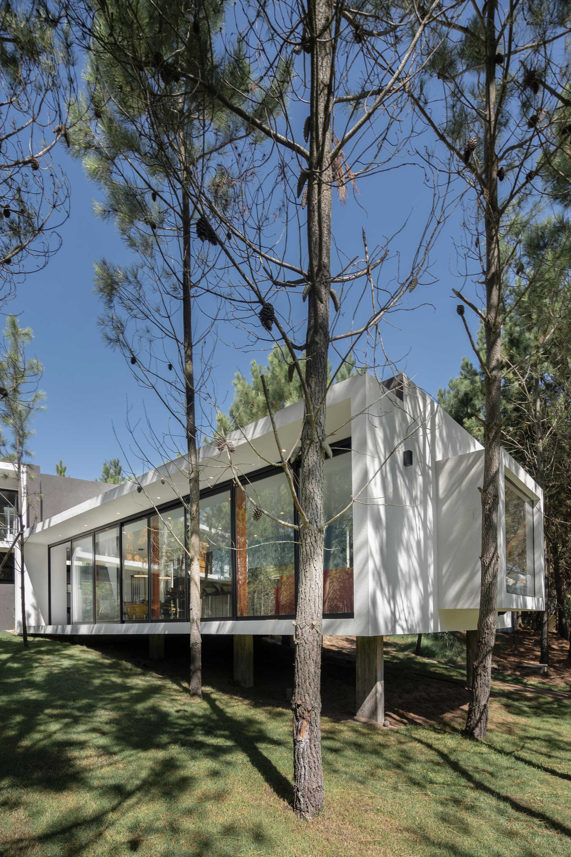 Proyecto Grupo Beltran